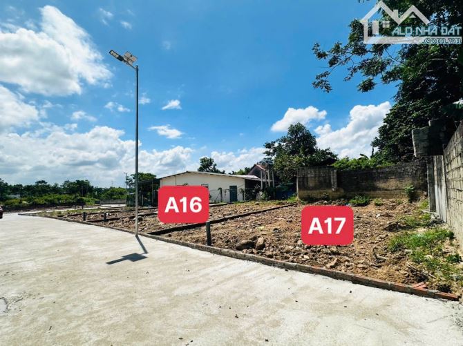 Chỉ từ hơn 300 triệu sở hữu ngay lô đất tại Đại Đình Tam Đảo dt100m-120m(tc 80m) mt6m SĐCC - 2