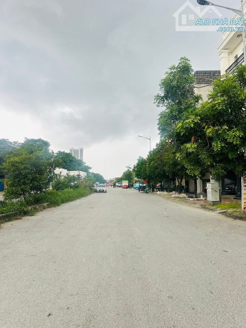 Hàng hiếm 70m2 tuyến đường đôi 31m ở TĐC Hoa Quả, Hồng Bàng. - 2