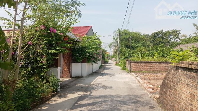 BÁN ĐẤT THUẬN THÀNH, BẮC NINH. 82M2 *MT 4,5M * 2,35 TỶ. Ô TÔ THÔNG, VÀO ĐẤT - 2