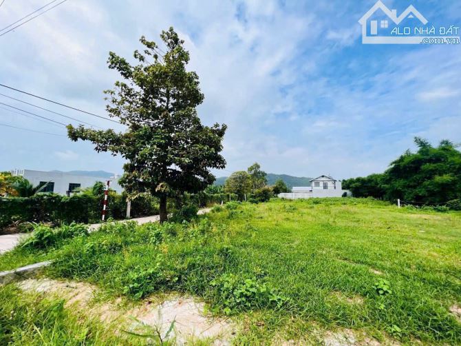 Ban Đất Xã Long Mỹ TT Phước Hải 1000m2 giá 3ty550 - 2