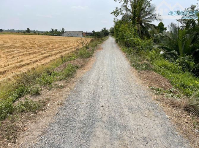 4871m2 đất lúa cạnh đường Vành Đai 3, xã Tân Hòa, Bến Lức, Long An giá 3,9 tỷ - 2