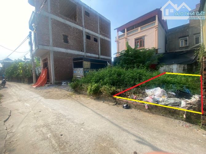 Bán đất Thiên Đông Mỹ Hưng Thanh Oai – Hiếm, 40m2 giá Đầu Tư - 2