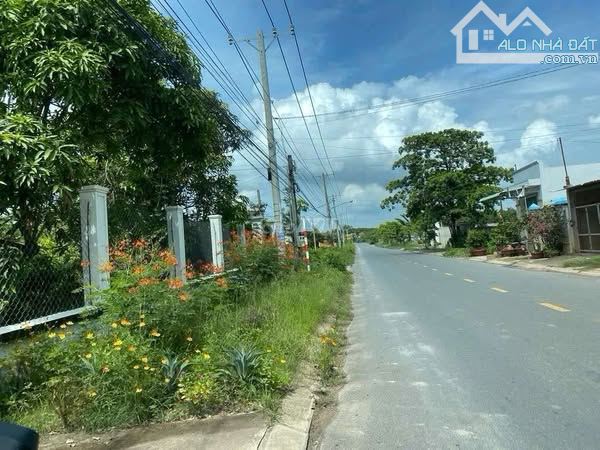 Bán đất cách chợ Việt Kiều 500m full thổ cư dt : 192m2 giá 1 tỷ 50tr - 2