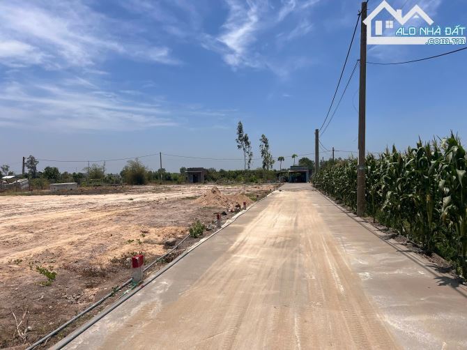 Nhanh tay sở hữu đất nền Phước Hải – Long Đất, Bà Rịa Vũng Tàu chỉ từ 750 triệu - 2