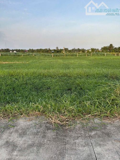 ✅ Bán 183.4m2 đất lúa cách 827B chỉ 400m thuộc Phú Ngãi Trị , Châu Thành _ DT: 4.5 x 40m2 - 2