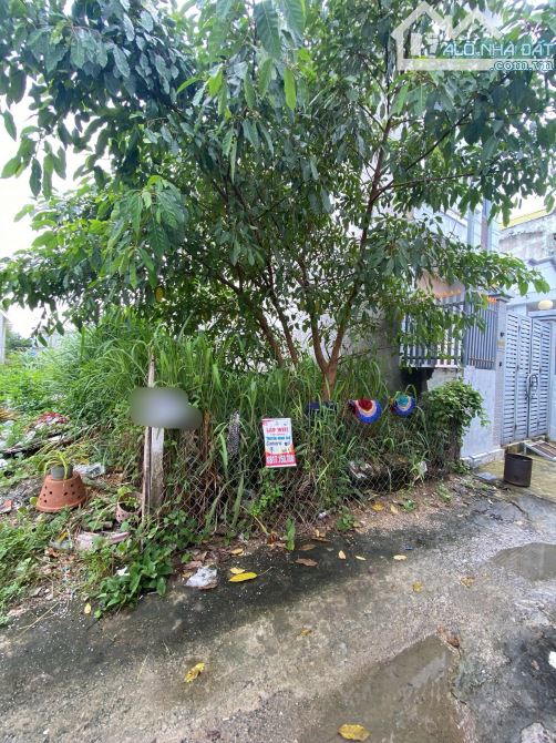 HN133 Bán xưởng đang cho thuê thu nhập ổn định , giá rẻ tại Đồng Nai - 2