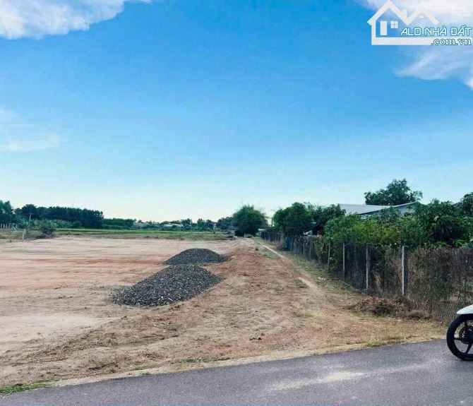 BÁN LỖ LÔ ĐẤT 5×28M, 80M² THỔ CƯ, CÁCH BIỂN 3KM TẠI THỊ TRẤN PHƯỚC HẢI – GIÁ 850 TRIỆU - 2