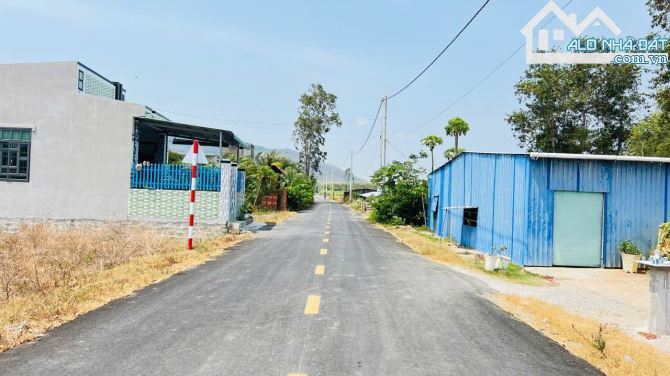 SIÊU RẺ LÔ ĐẤT LONG MỸ – ĐẤT ĐỎ, BRVT, DIỆN TÍCH 120M², CÁCH BIỂN PHƯỚC HẢI 10 PHÚT - 2