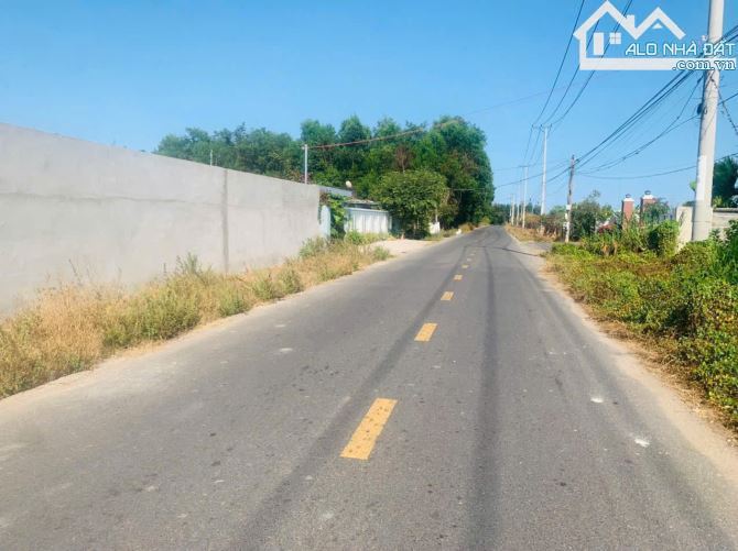 CẦN BÁN LÔ ĐẤT NHÀ VƯỜN 1110M² TRUNG TÂM THỊ TRẤN PHƯỚC HẢI – LONG ĐẤT, BRVT - 2