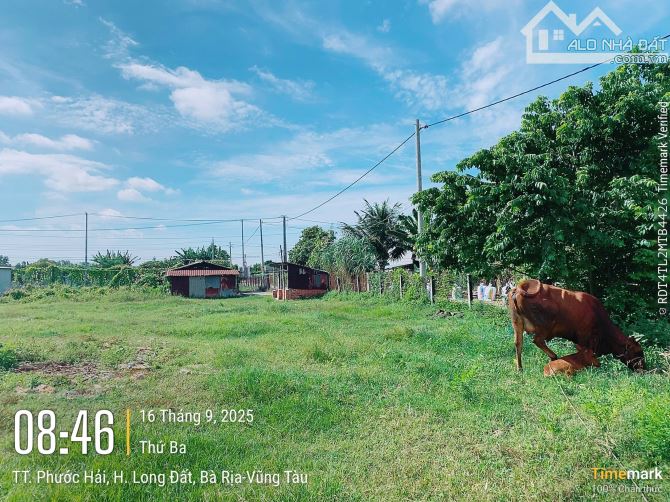 🌟 SIÊU PHẨM gần 1100m2 ĐẤT PHƯỚC HẢI – GIÁ CHỈ 4 TỶ 🌟  📍 Vị trí: Khu biệt thự Phan Gia - 2
