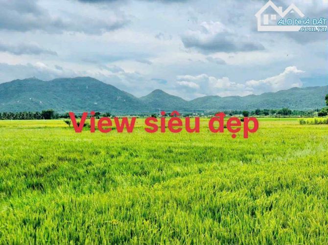 🏡 Mặt đường Tôn Thất Tùng – TT Phước Hải, gần biển, giá chỉ 1,5 tỷ - 2