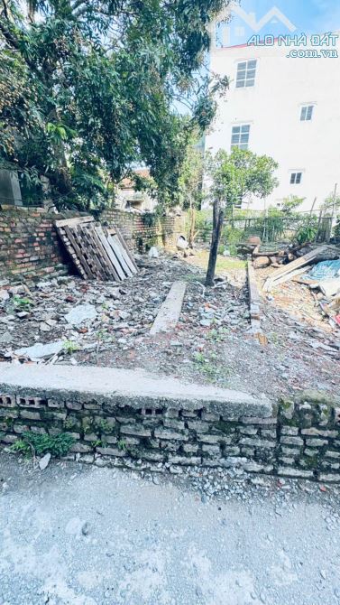 ĐỘC QUYỀN – LÔ ĐẤT 45M² TẠI MAI LÂM ĐÔNG ANH  PHÁP LÝ CHUẨN – GIÁ TỐT NHẤT KHU - 2