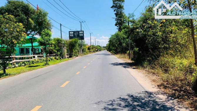 🏡 BÁN 10 LÔ ĐẤT PHƯỚC HẢI – ĐƯỜNG NHỰA TIM VÀNG, GẦN BIỂN, SỔ HỒNG SẴN, GIÁ TỪ 1,4 TỶ - 2