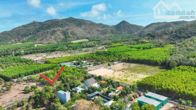 MẶT TIỀN NHỰA THỊ TRẤN PHƯỚC HẢI - LONG ĐẤT - BRVT ( Nay là Xã Phước Hải - TP HCM) - 2