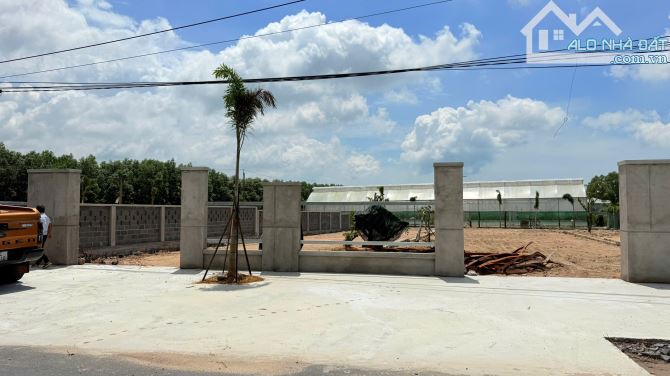 THỊ TRẤN PHƯỚC HẢI- GẦN BIỂN PHƯỚC HẢI - BRVT ( Nay là Xã Phước Hải - TP HCM) - 2