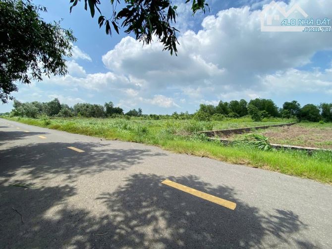2 LÔ LIÊN KỀ -  XÃ ĐẤT ĐỎ - TP HỒ CHÍ MINH; KHU TOÀN NHÀ VƯỜN BIỆT THỰ 🌈🌈🌈DT 930M2/ lô - 2