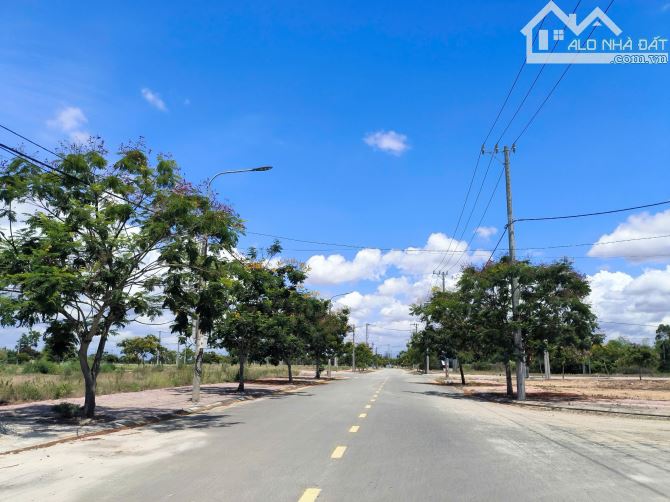 Bán Đất Biệt Thự 312m2 Dự Án Cầu Hưng Lai Nghi B1.20 Hướng Bắc Đường 7m5 Giá 16.5tr/m2 - 3