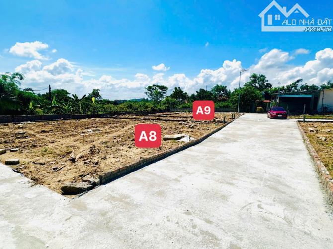 Chỉ từ hơn 300 triệu sở hữu ngay lô đất tại Đại Đình Tam Đảo dt100m-120m(tc 80m) mt6m SĐCC - 3