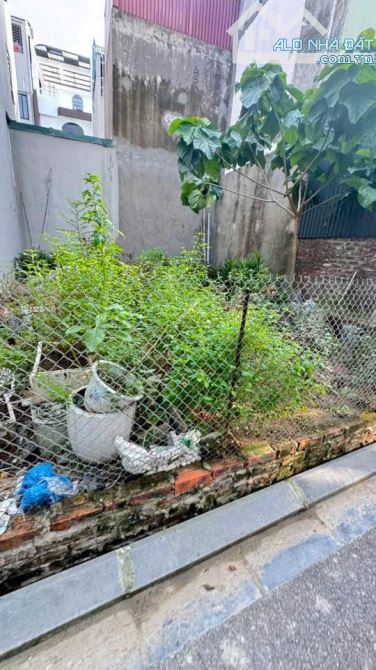 🔥 BÁN GẤP LÔ ĐẤT ĐẸP ĐÔNG TRÙ – CÁCH TRIỂN LÃM CHỈ 500M – GIÁ SIÊU TỐT 🔥 - 3