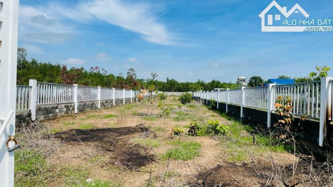 🏡💥 Bán đất nhà vườn Nguyễn Huệ – Phước Hội, Đất Đỏ, BRVT, DT 1018m² 🌿 - 3