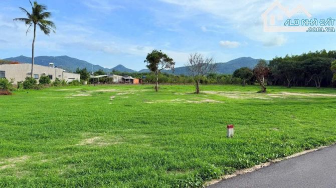 🏡 Bán đất biệt thự 786m² – Thị trấn Phước Hải, cách biển 3km – Giá tốt đầu tư - 3