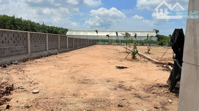 THỊ TRẤN PHƯỚC HẢI- GẦN BIỂN PHƯỚC HẢI - BRVT ( Nay là Xã Phước Hải - TP HCM) - 3