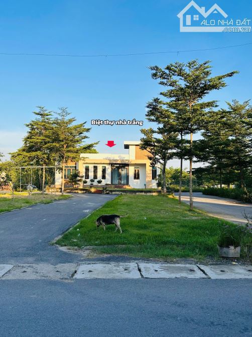 Siêu vị trí trung tâm Đồng Trạng – Cổ Đông, đất 60,5m² gần trường, chợ, hạ tầng hoàn thiện - 3