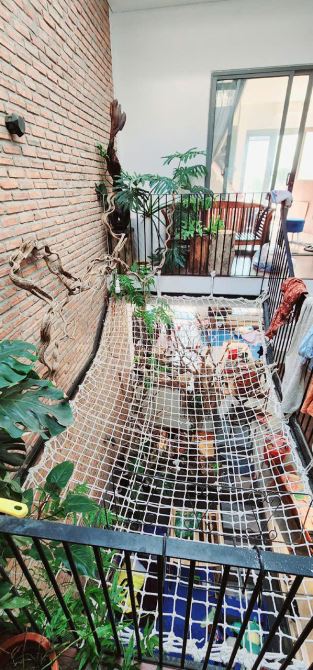 Bán nhà biệt thự bể bơi, 4 tầng mặt tiền 5m, đường 7.5m giá cực tốt; view đẹp lắm luôn. - 3