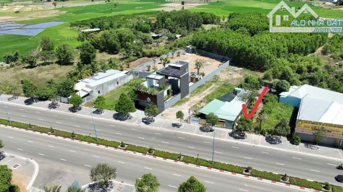 MẶT TIỀN TỈNH LỘ 44A VỀ BIỂN PHƯỚC HẢI - TRỤC CHÍNH CỦA HUYỆN ĐẤT ĐỎ - BRVT - 3