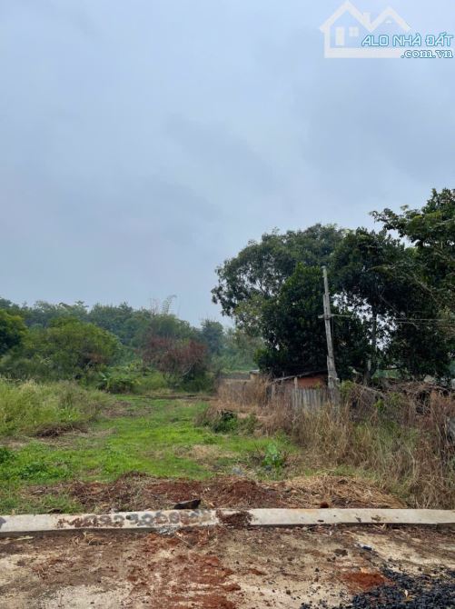 🌿 CHỈ 2 TỶ 550 TRIỆU – ĐẤT VIEW SUỐI P.KHÁNH XUÂN 🌿 - 4