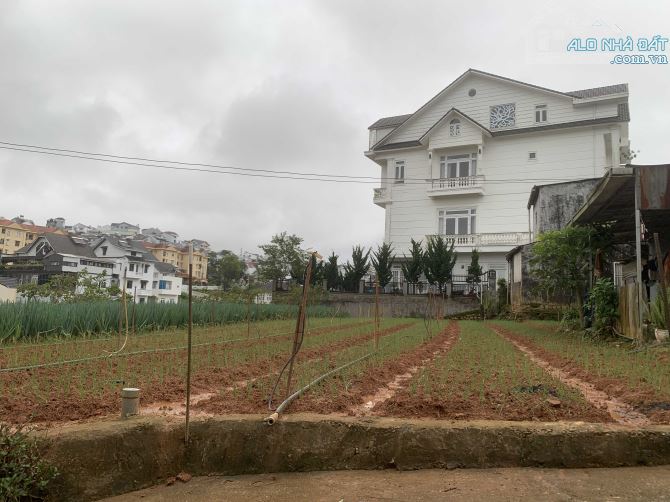 Bán Biệt Thự 2 Mặt Tiền Đường Kim Đồng – Phường 6, Tp. Đà Lạt – Vị Trí Đắc Địa - 4
