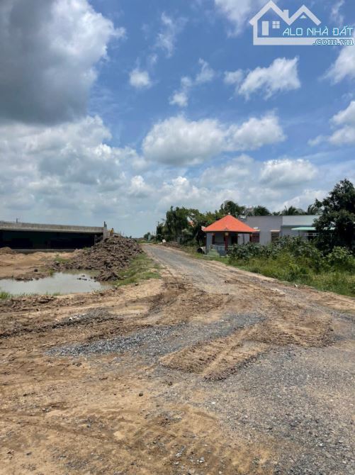 4871m2 đất lúa cạnh đường Vành Đai 3, xã Tân Hòa, Bến Lức, Long An giá 3,9 tỷ - 4