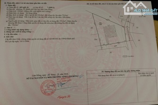 🏡✨✨BÁN BIỆT THỰ HOÀNG HOA THÁM✨✨ - P10 - ĐÀ LẠT -🛣️ VIEW THUNG LŨNG CHỈ VỚI 37.5 TỶ 🏡 - 4