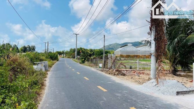 BÁN ĐẤT TT PHƯỚC HẢI – LONG ĐẤT, BRVT, DIỆN TÍCH 10×28M, GIÁ 1 TỶ - 4