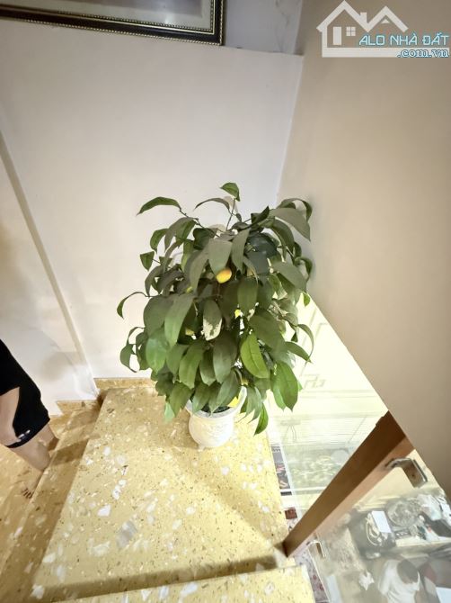 BÁN GẤP MẶT TIỀN NỘI BỘ 5M HỒNG BÀNG TTQ11-83M2-4 TẦNG-NGANG KHỦNG 6.5M GIÁ 10 TỶ - 4