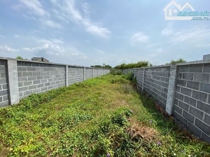 🏡 BÁN ĐẤT PHƯỚC HẢI – 237M² (100M² THỔ CƯ), NẰM GẦN TL44B, CÁCH BIỂN 10P, GIÁ 1,09 TỶ - 4