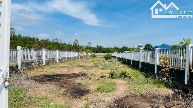 🏡 BÁN ĐẤT PHƯỚC HỘI – ĐẤT ĐỎ 1.019M², ĐÃ XÂY RÀO, GẦN BIỂN, GIÁ 1,5 TỶ - 4