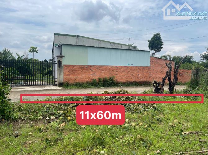 TDP8 phường Buôn Ma Thuột 11x60m tổng DT 603m gi á chỉ 1,65 tỷ. - 4