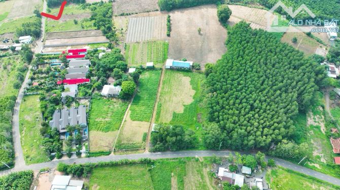 2 LÔ LIÊN KỀ -  XÃ ĐẤT ĐỎ - TP HỒ CHÍ MINH; KHU TOÀN NHÀ VƯỜN BIỆT THỰ 🌈🌈🌈DT 930M2/ lô - 4