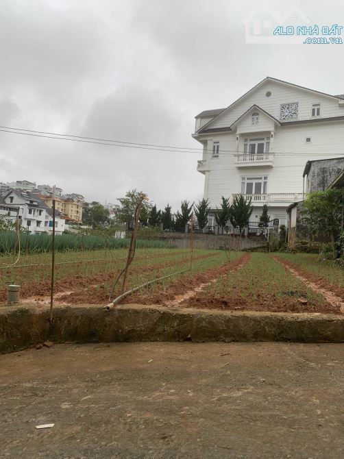 Bán Biệt Thự 2 Mặt Tiền Đường Kim Đồng – Phường 6, Tp. Đà Lạt – Vị Trí Đắc Địa - 5
