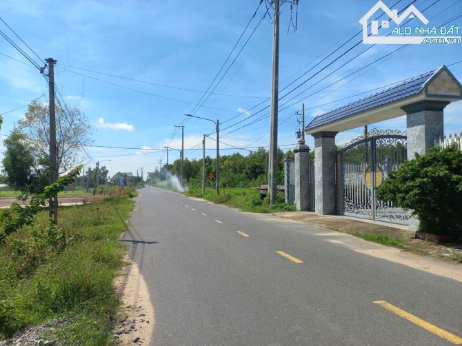 Bán gấp lô đất 244m² xã Phước Hải – BRVT, đường nhựa 8m, nở hậu, có vườn bơ - 5