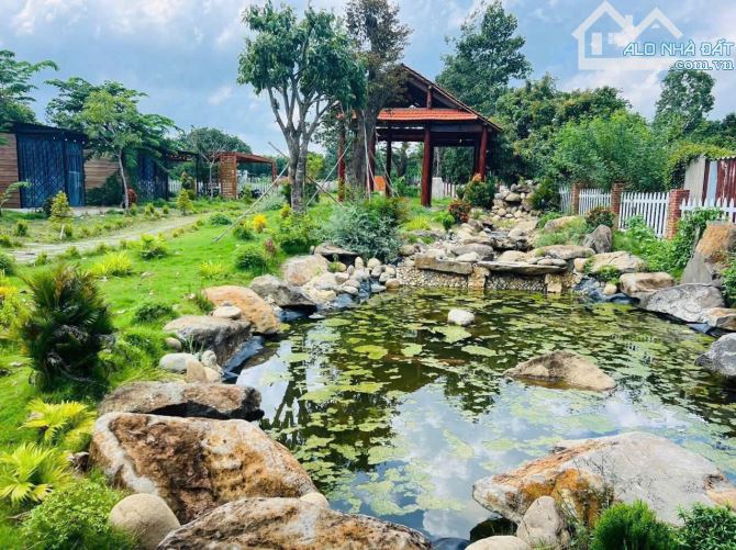 NHÀ VƯỜN XÃ XUYÊN MỘC - TP HCM GẦN BIỂN HỒ TRÀM 📐Diện tích 22x114 -3200m - 5