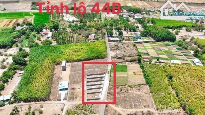 ✅ BÁN ĐẤT LONG MỸ – 253M² (80M² THỔ CƯ), ĐẤT ĐỎ, GẦN BIỂN PHƯỚC HẢI, CÁCH TL44B 450M - 6