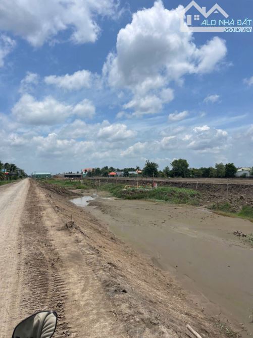 4871m2 đất lúa cạnh đường Vành Đai 3, xã Tân Hòa, Bến Lức, Long An giá 3,9 tỷ - 7