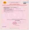 BÁN LÔ NHÀ VƯỜN TẠI LONG MỸ – PHƯỚC HẢI, CÁCH BIỂN 4 CÂY, GIÁ 1 TỶ