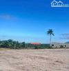 💎 Bán lô đất trả nợ TT Phước Hải – BRVT, mặt tiền nhựa, full thổ cư 787m²