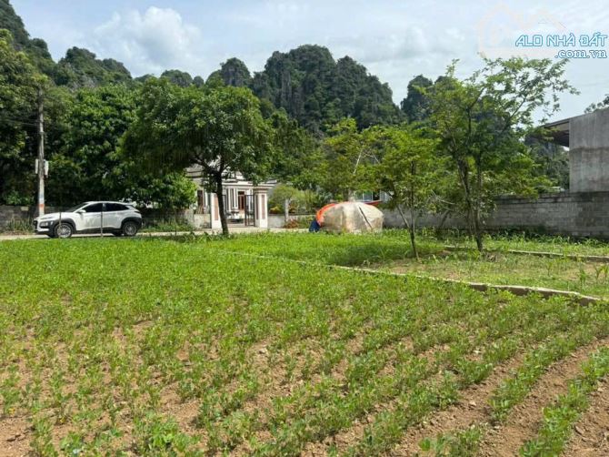 Cần bán mảnh đất 104m2 950tr đường trước đất 2 oto tải tránh nhau tại Liên Sơn, Hoà Bình - 8