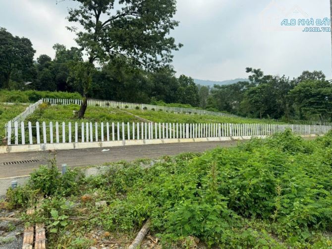 Cần bán đất 317m 1.75tỷ mặt tiền đẹp như Sapa - Liên Sơn, Lương Sơn, Hoà Bình - 1