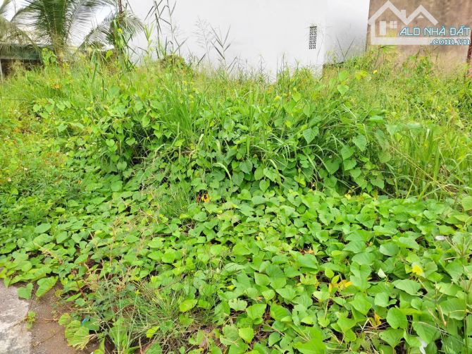 55tr/m2 - Đường nhựa 6m - Ngang 5.2m - Không ngập - Khu dân cư view Vinhomes - SHR - Hiếm - 4