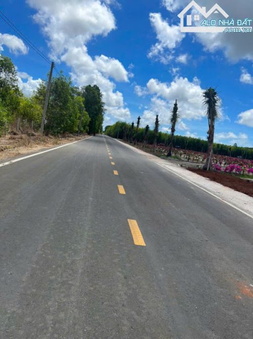 🌅 DUY NHẤT LÔ GÓC 2 MẶT TIỀN GẦN BIỂN LỘC AN – GIÁ CHỈ 850TR!
